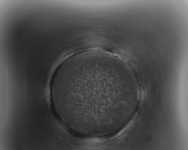 X0000088400198200705291435