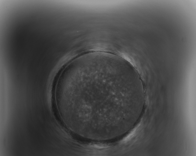 X0000088400199200705291435