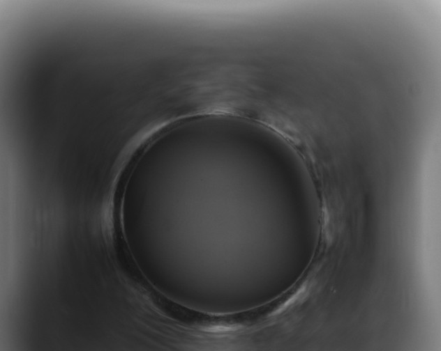 X0000088400200200705291435