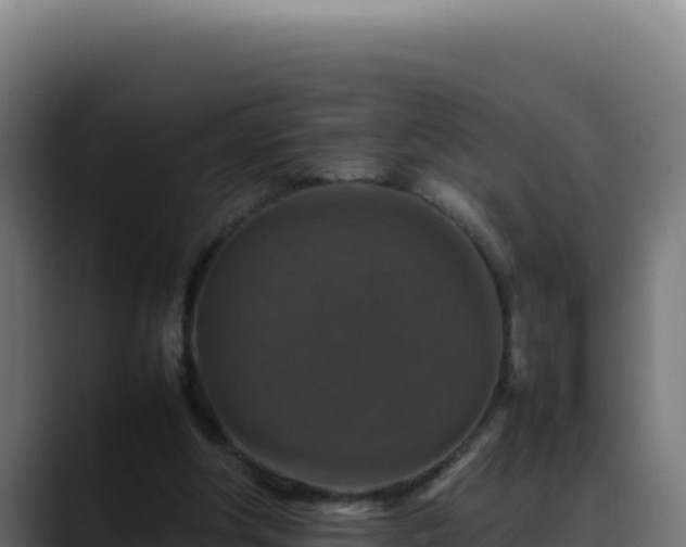 X0000088400202200705291435