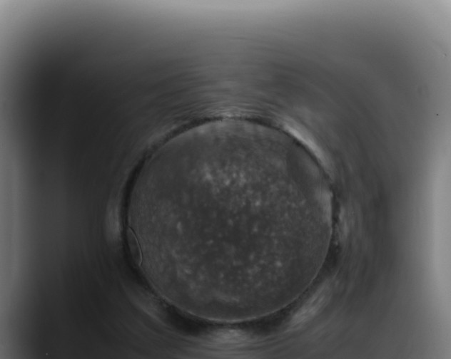 X0000088400203200705291435