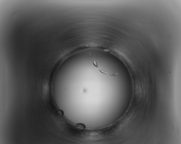 X0000088400208200705291435