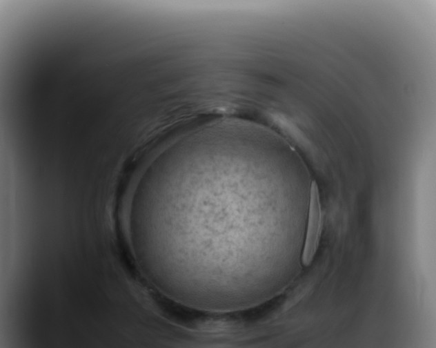 X0000088400209200705291435