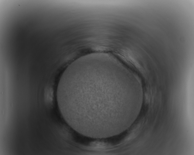 X0000088400211200705291435