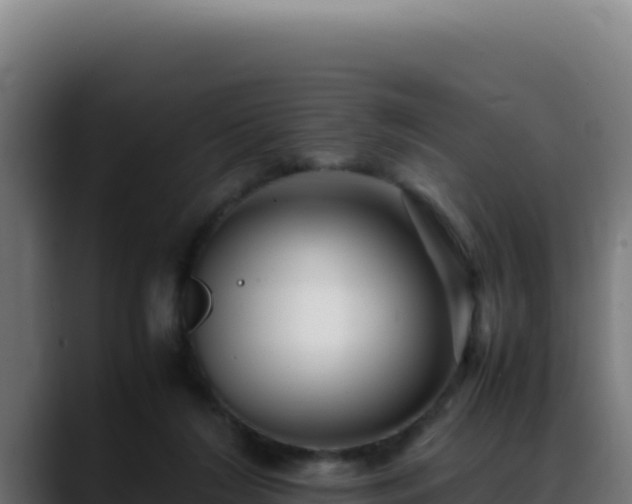 X0000088400212200705291435