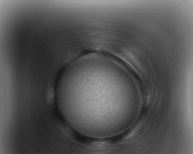 X0000088400213200705291435