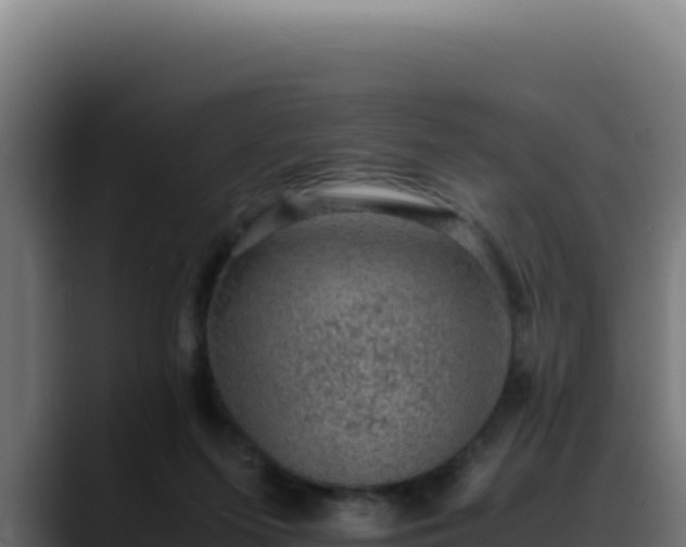 X0000088400215200705291435