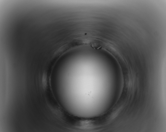 X0000088400216200705291435