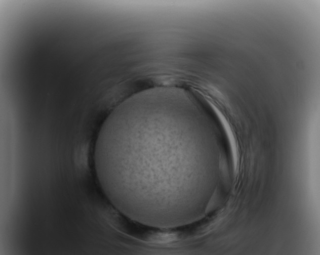 X0000088400217200705291435