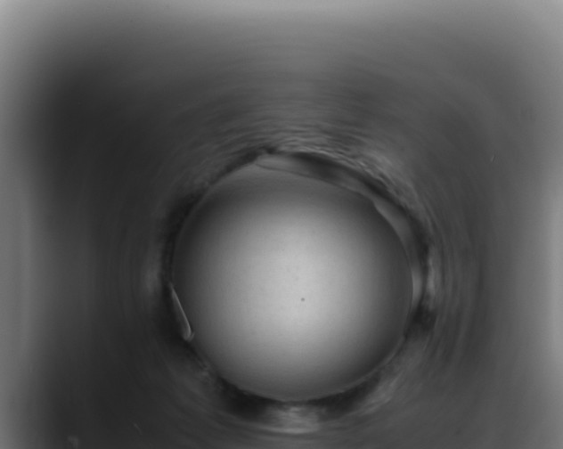 X0000088400221200705291435