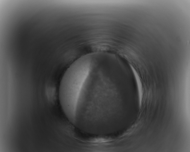 X0000088400224200705291435