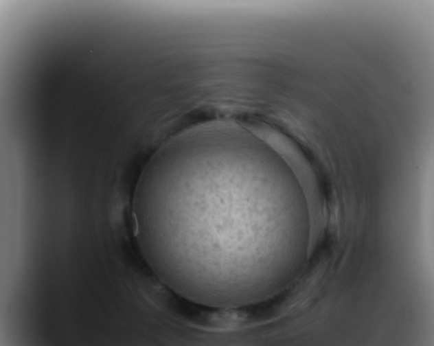 X0000088400225200705291435