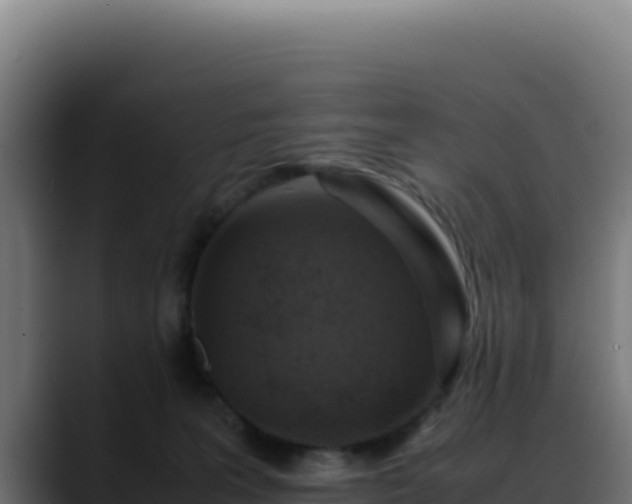 X0000088400227200705291435