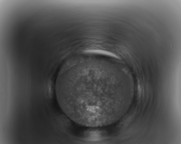 X0000088400228200705291435