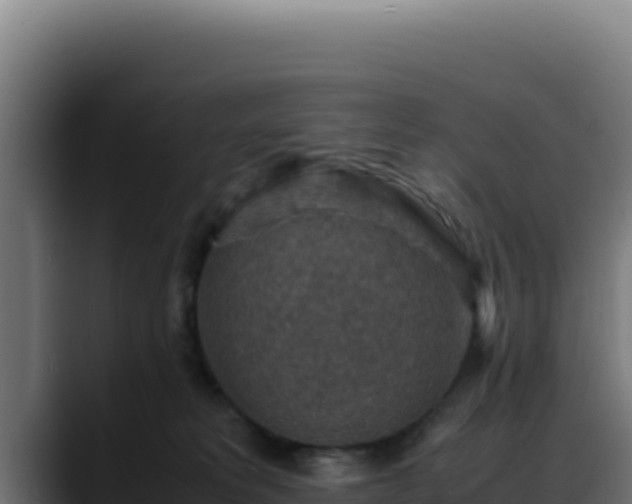 X0000088400229200705291435