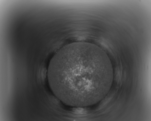 X0000088400230200705291435