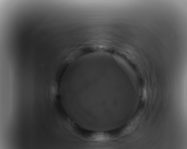 X0000088400231200705291435