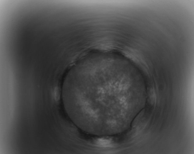 X0000088400232200705291435