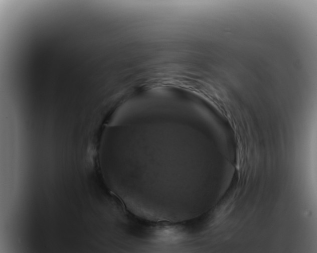 X0000088400235200705291435