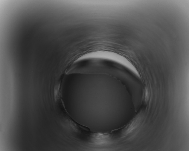 X0000088400239200705291435