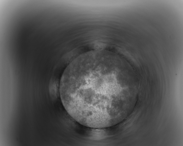 X0000088400240200705291435