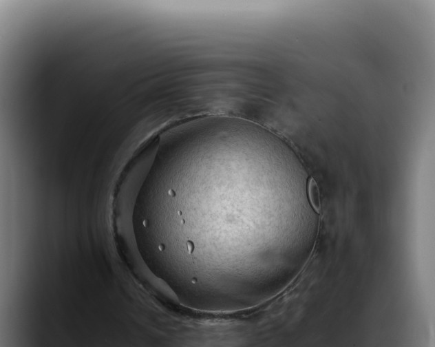 X0000088400242200705291434