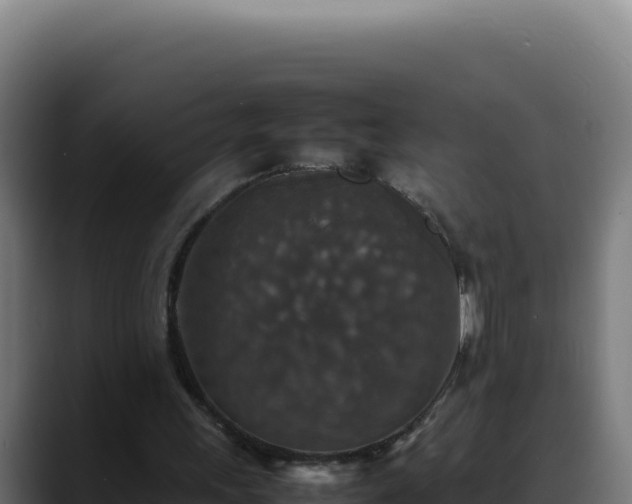 X0000088400243200705291434