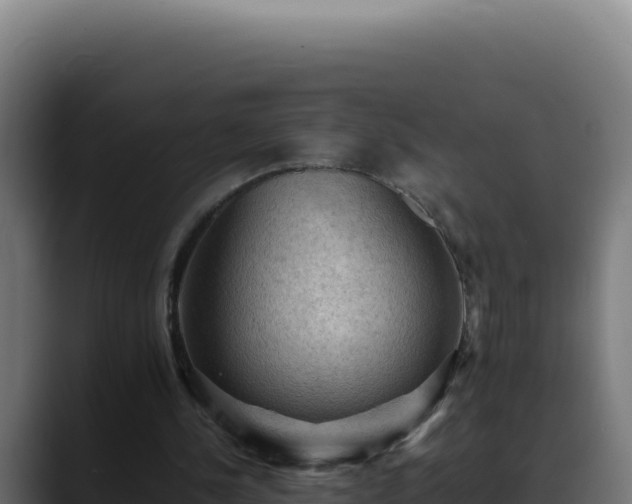 X0000088400244200705291434