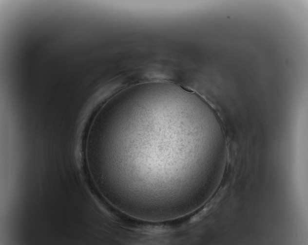 X0000088400245200705291434