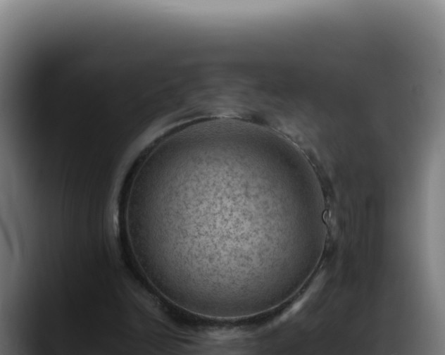 X0000088400246200705291434