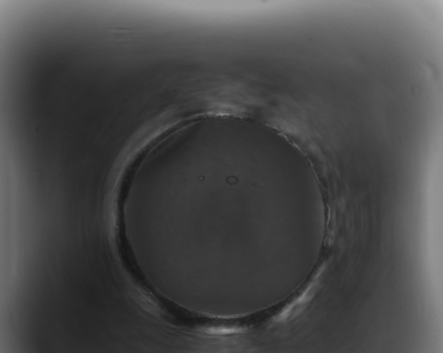 X0000088400247200705291434