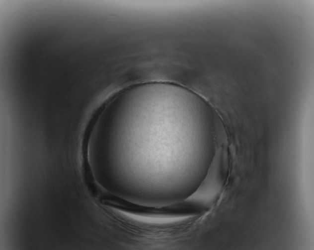 X0000088400248200705291434