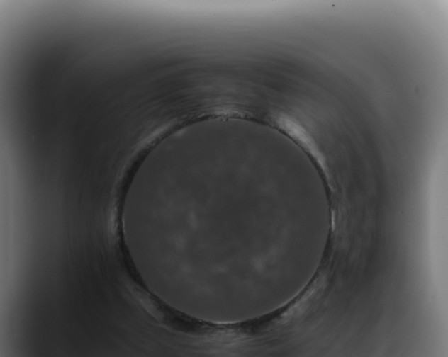 X0000088400249200705291434