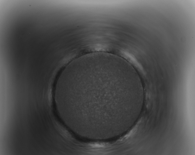 X0000088400250200705291434