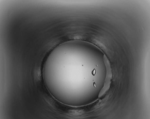 X0000088400251200705291434