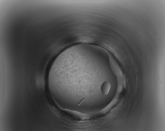 X0000088400252200705291434