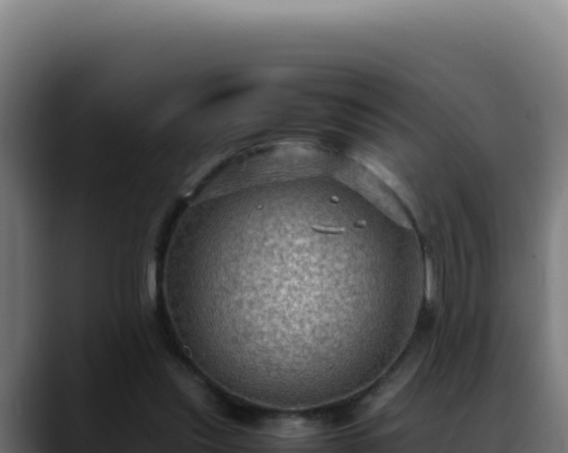 X0000088400253200705291434