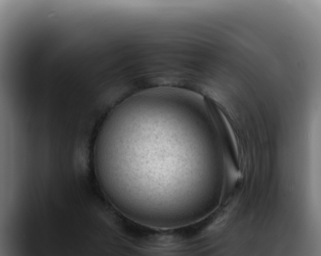 X0000088400255200705291434