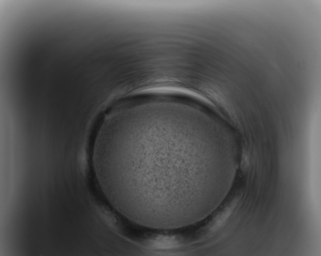 X0000088400256200705291434