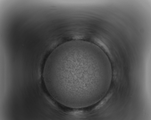 X0000088400257200705291434