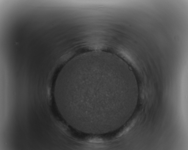 X0000088400258200705291434