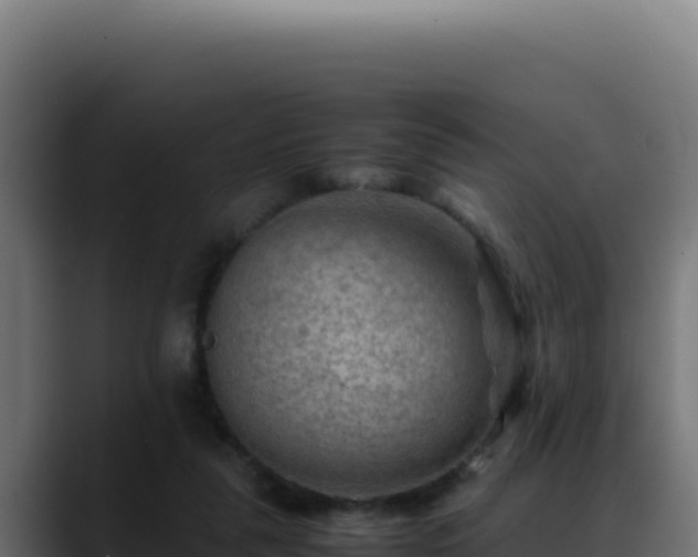 X0000088400259200705291434