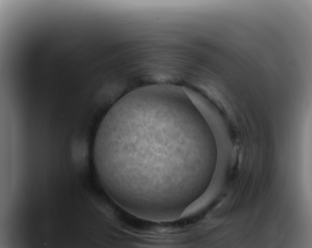 X0000088400260200705291434