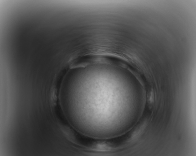 X0000088400264200705291435