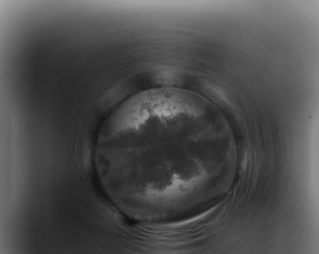 X0000088400266200705291435