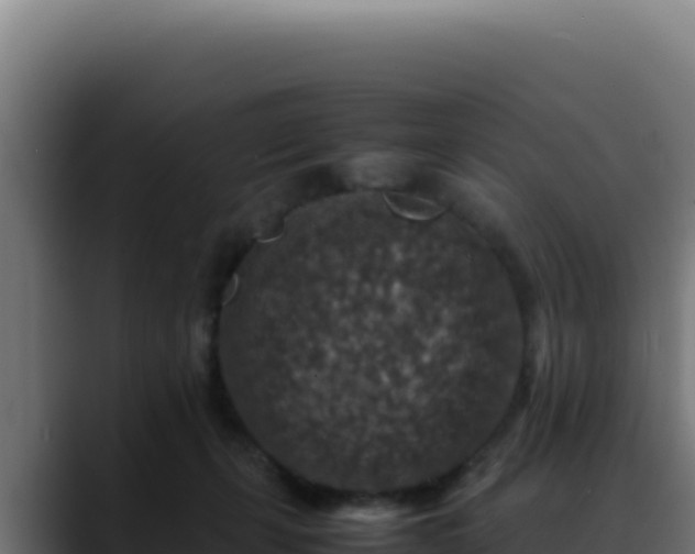 X0000088400271200705291435