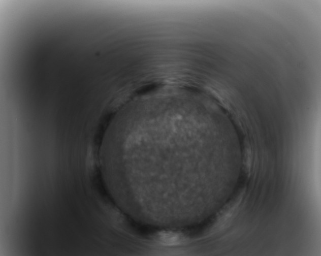 X0000088400272200705291435