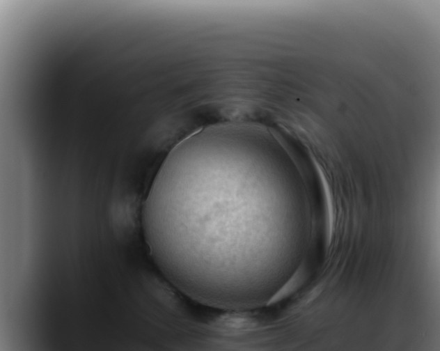 X0000088400280200705291435