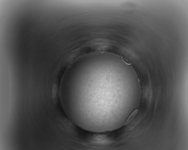 X0000088400283200705291435