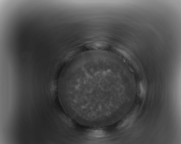 X0000088400284200705291435